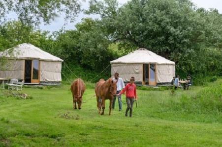Double Room On Farm Beaugies-sous-Bois Exterior foto
